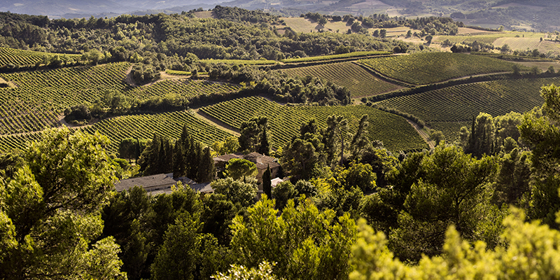 utmaningar-i-champagne