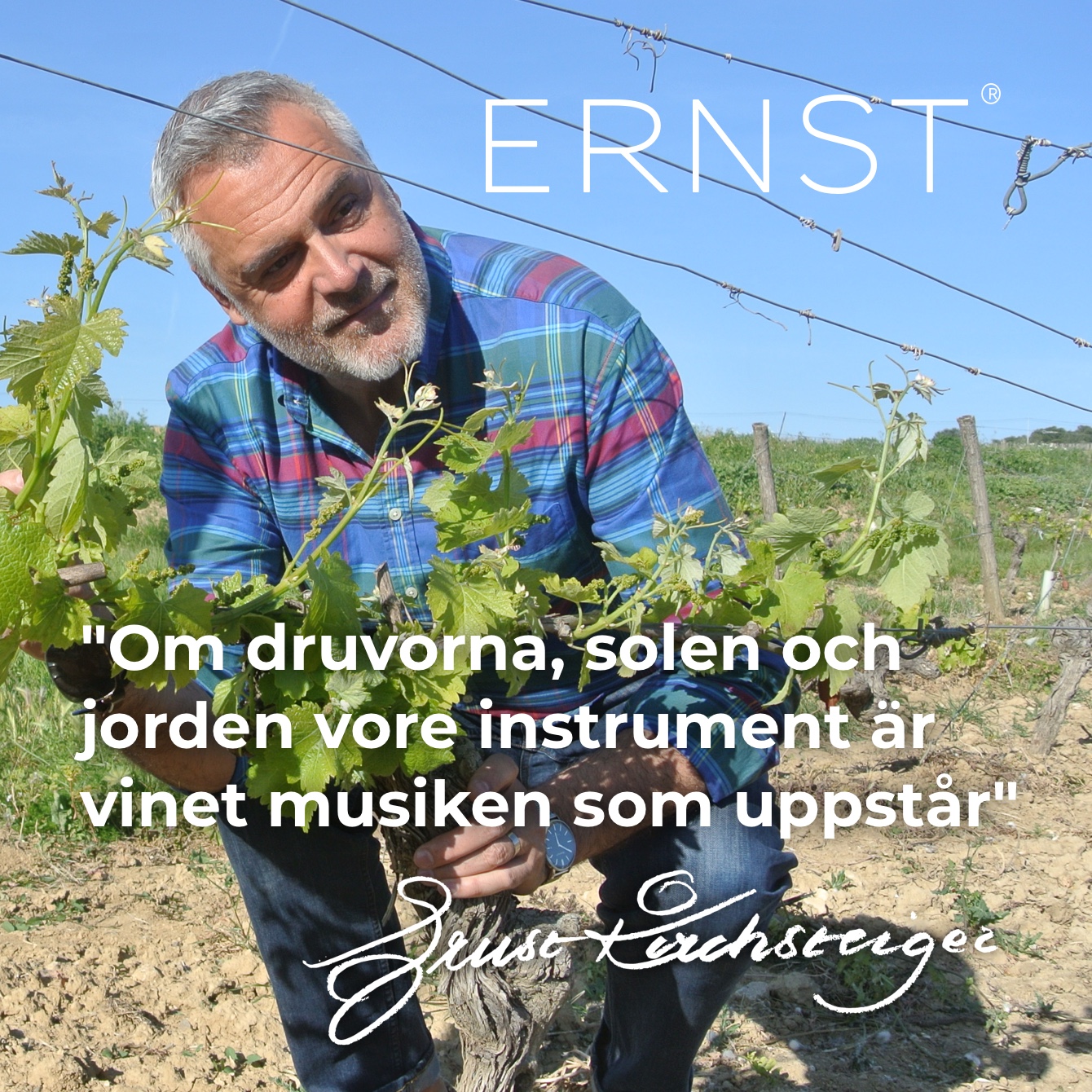 ernst